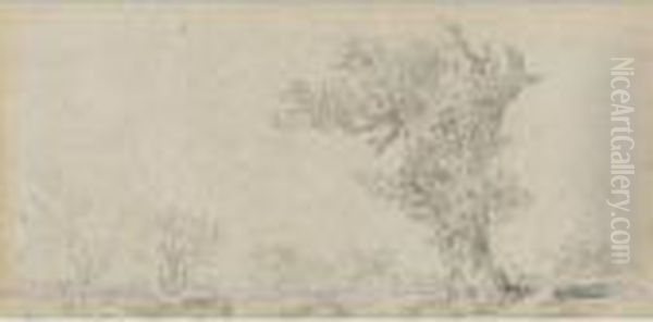 River Landscape With A Tree - view 1