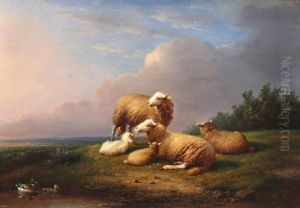 Landschap Met Schapen En Eenden