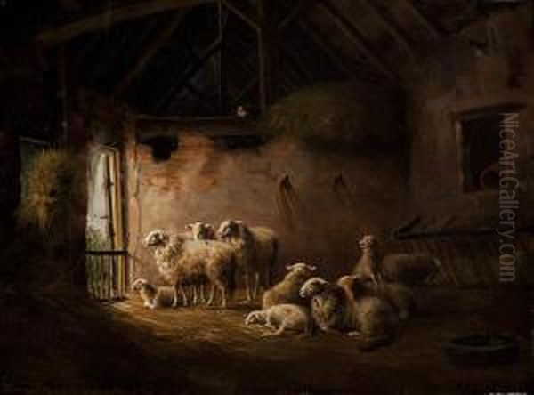 Sheep And Lambs In A Stable Withonlooking Cat - view 1