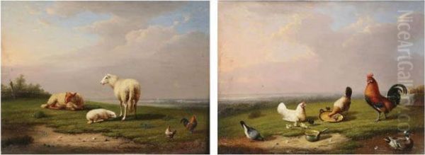 Schapen, Haan En Kippen Inlandschap. - view 1
