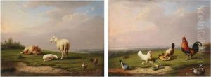Schapen, Haan En Kippen Inlandschap.