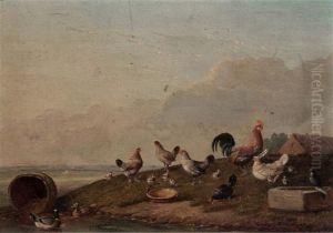 Chickens And Cockerel In A River Landscape