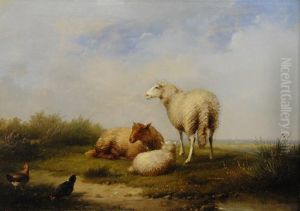 Sheep And Chickens