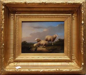 Sheep