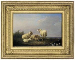Sheep Resting Beside Some Ducks