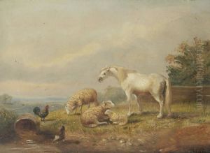 Landschap Met Paard En Schapen