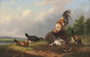 Hahn Mit Hennen