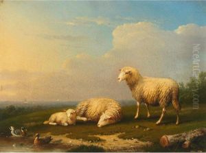 Sheep And Ducks In A Field