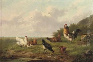 Chickens And A Rooster In A Meadow