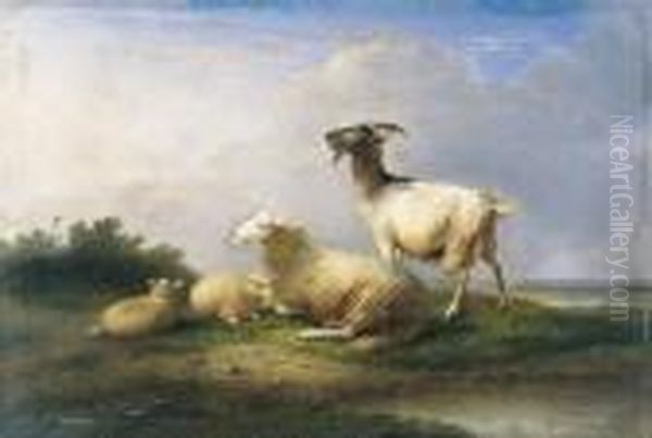 Schapen En Geit In Een Landschap - view 1