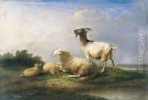 Schapen En Geit In Een Landschap