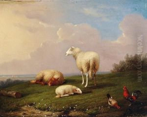 Sheep And Chickens