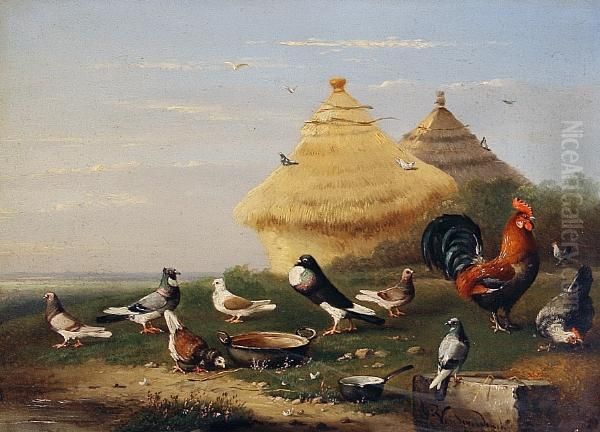 Pigeons And Chickens - view 1