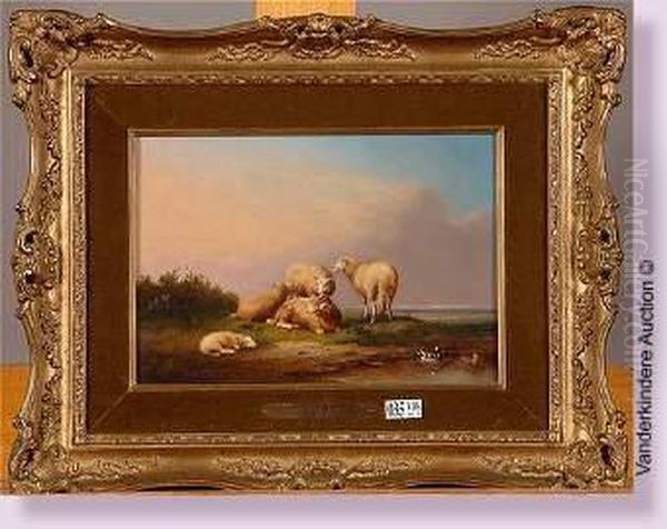 Moutons Et Canards Au Pre - view 1