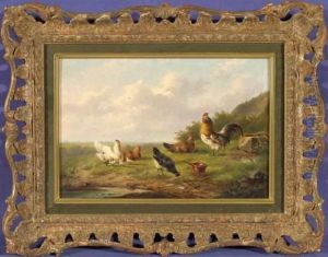 Huhner Vor Landschaft