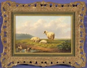 Schafe Und Enten Vor Landschaft