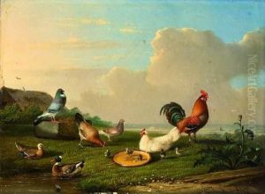 Les Poules