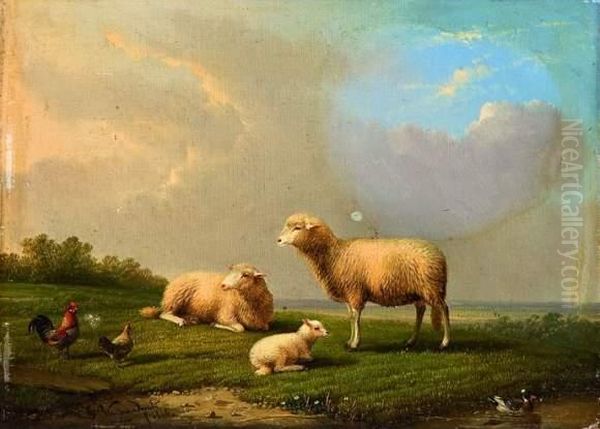 Les Moutons - view 1