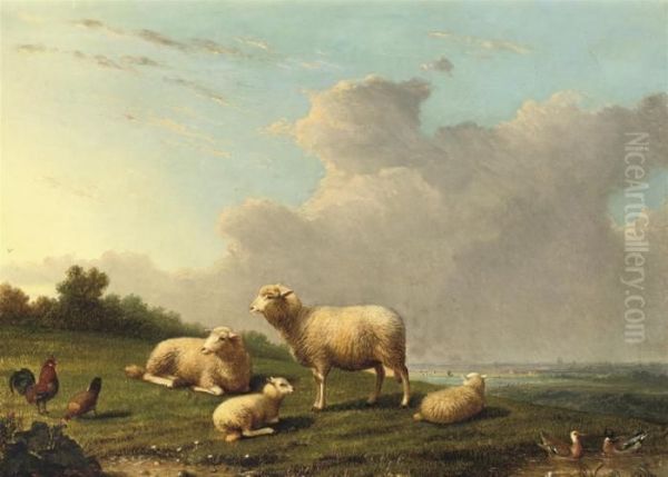 Sheep In A Meadow - view 1