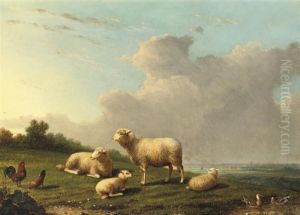 Sheep In A Meadow by Franz van Severdonck