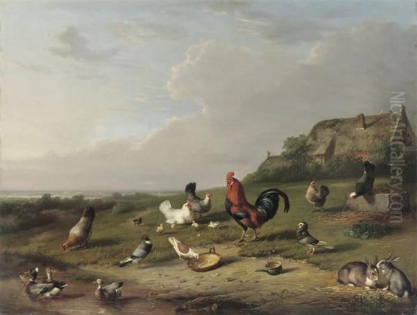 The Rooster - view 1