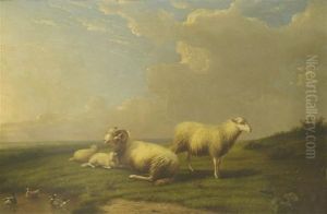 Sheep In Meadow by Franz van Severdonck
