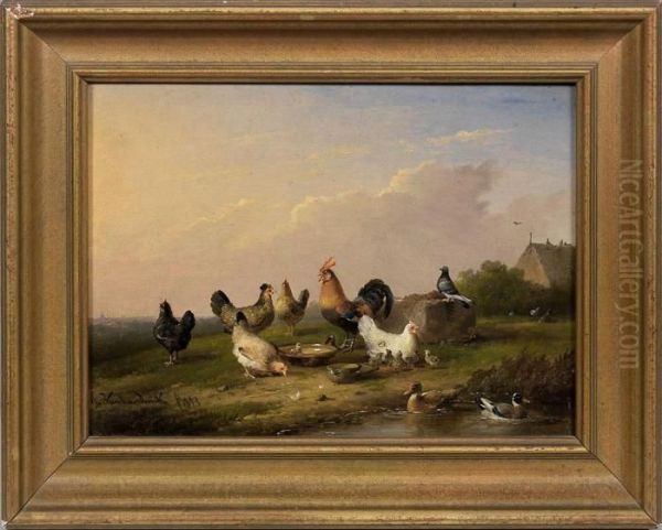 Abendstimmung Am Weihermit Huhnerfamilie Und Enten - view 1
