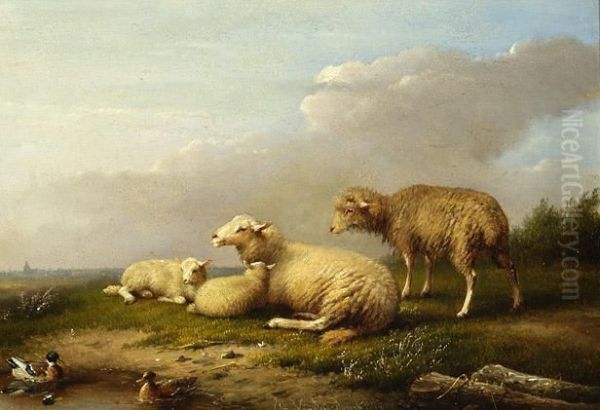 Sheep Resting By The Water - view 1