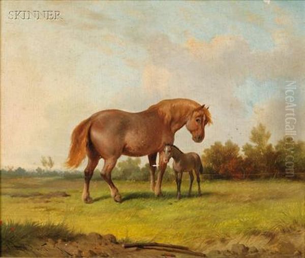 Mare And Foal - view 1