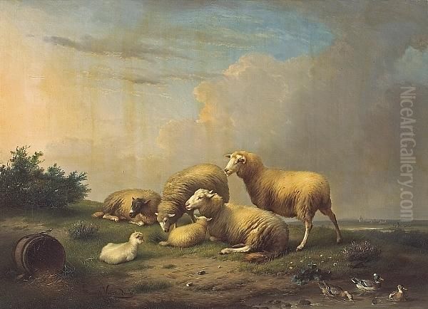 Sheep And Ducks In An Extensivelandscape - view 1