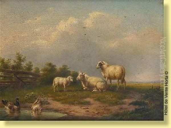 Moutons Et Canards - view 1