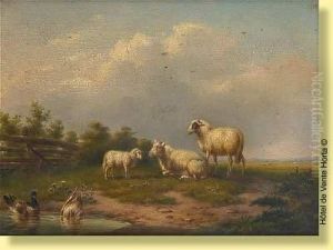 Moutons Et Canards by Franz van Severdonck