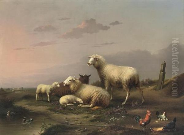 Sheep And Poultry Resting In The Pasture - view 1