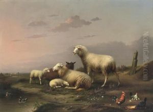 Sheep And Poultry Resting In The Pasture by Franz van Severdonck