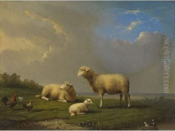 Moutons Sur Le Rivage - view 1