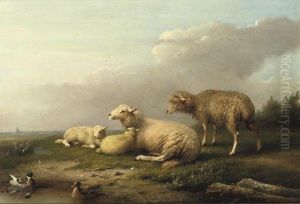 Sheep Resting In The Pasture by Franz van Severdonck