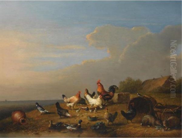 Poultry And Rabbits Near The Waterside - view 1