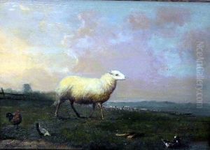 Weidendes Schaf Und Federvieh