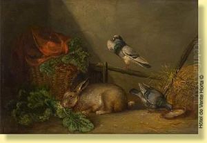 Lapin Et Pigeon Pres Du Panier Lapin Et Pigeon Pres Du Panier
