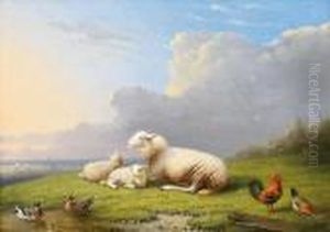 Schafe Auf Der Weide by Franz van Severdonck