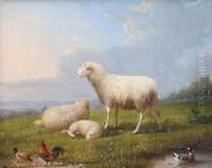 Schafe Auf Der Weide Mit Fernem Dorf by Franz van Severdonck