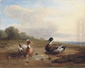 At The Duck Pond by Franz van Severdonck