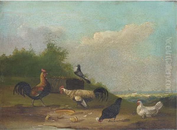 Hens And A Pigeon In A Landscape - view 1