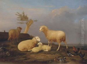 Sheep And Poultry At The Pond
