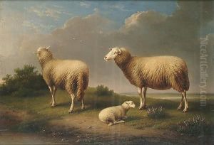 Sheep In A Landscape Sheep In A Landscape