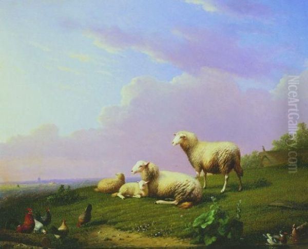 Sheep At Rest With Ducks And Chickens - view 1