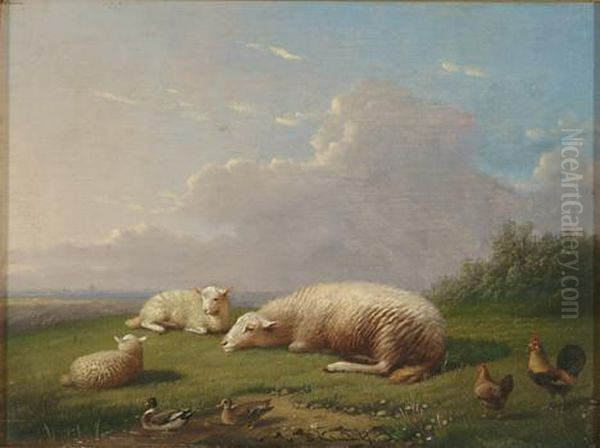 Sheep At Rest With Ducks And Roosters - view 1