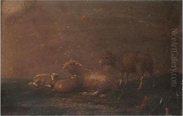 Sheep Grazing - view 1