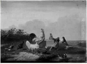 Coqs Et Oiseaux Pres D'une Mare by Franz van Severdonck