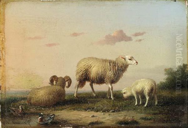 A Family Of Sheep
Oil On Panel - view 1